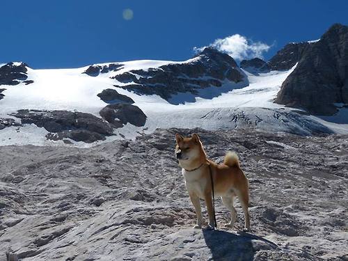 舞台的尺寸从不定义强者,却让若日尼奥的光芒无处隐藏