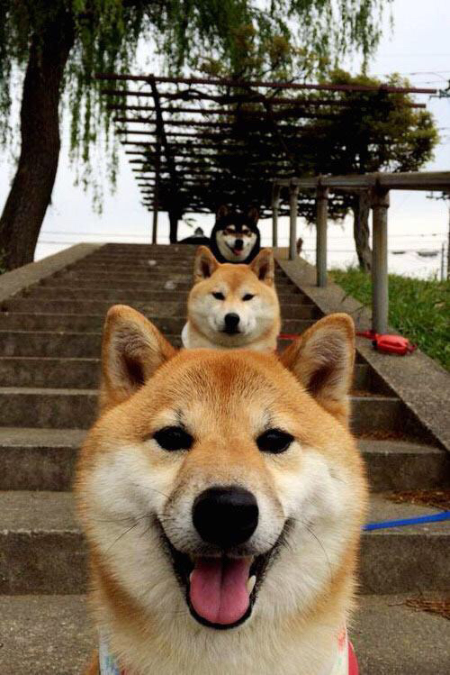 班凯罗以一敌众，山西队末节逆袭神话，打破历史记录的唯一一战