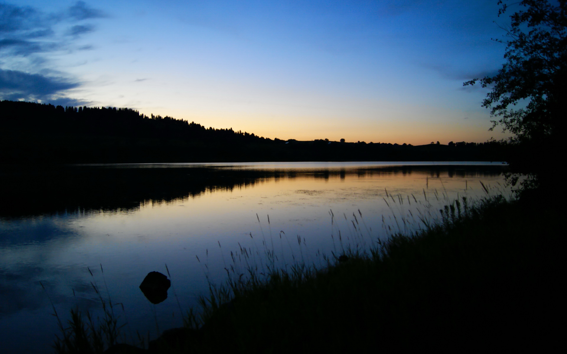 开云-广厦VS尼克斯对决，NBA球星竟成意外主宰！哈利伯顿如何终结悬念？