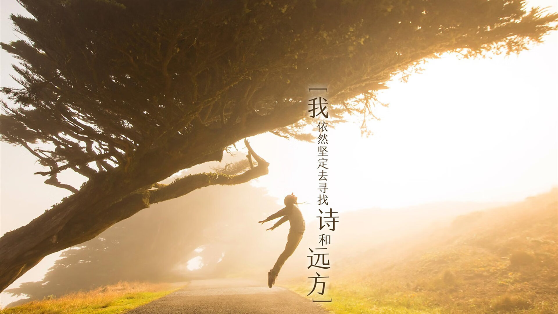 蓝武士的独奏,久保建英与2026世界杯B组那场唯一的完胜
